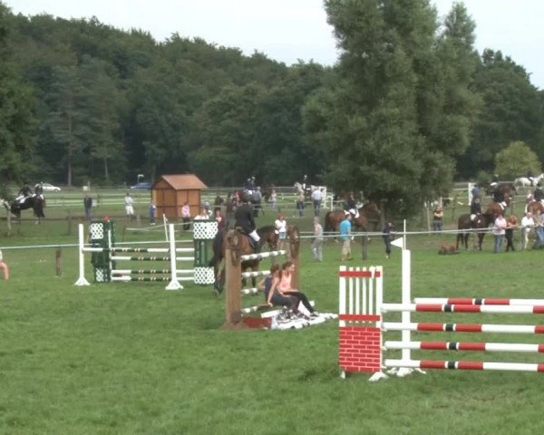 Reitsporttage an der Führser Mühle 2013