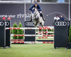 stallion Fahrenheit de Vains Rw (Selle Français, 2015, from Cornet Obolensky)