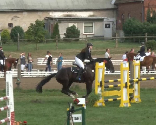Reitsporttage an der Führser Mühle 2013