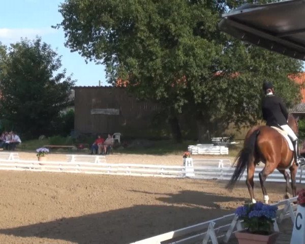 Reitsporttage an der Führser Mühle 2013