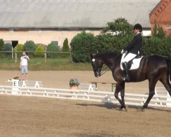 Reitsporttage an der Führser Mühle 2013
