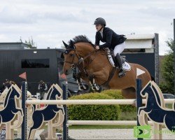 broodmare Egerie de Hus (Selle Français, 2014, from Conrad de Hus)