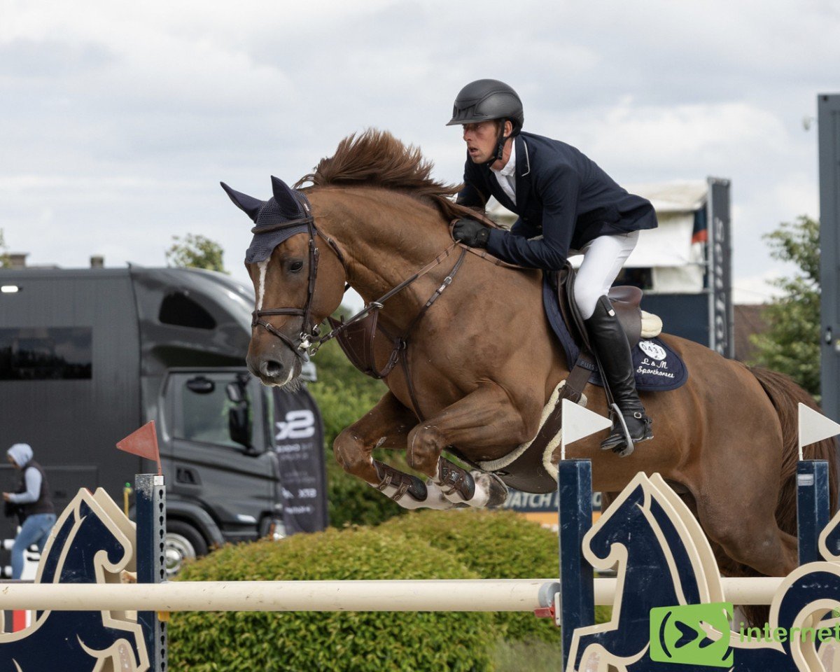 stallion Demerald R Z (Zangersheide riding horse, 2015, from Diamant de Semilly)