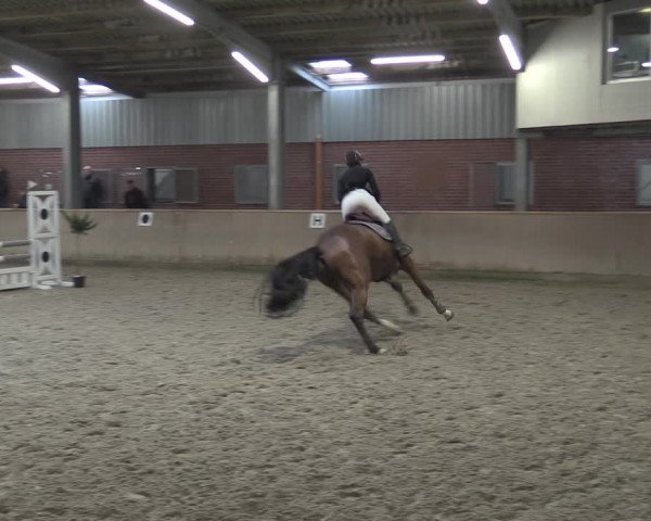 Reitturnier Ahaus 2021