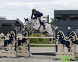 jumper H5 Jemousin van den Dael (Belgian Warmblood, 2009, from Vivaldi du Seigneur)