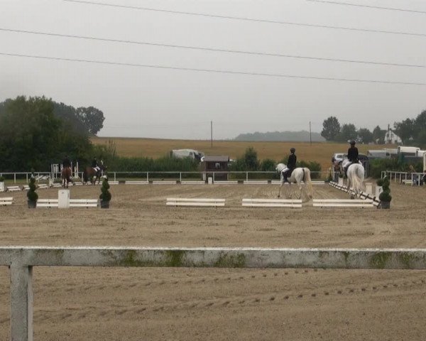 Reitturnier Menden 2013