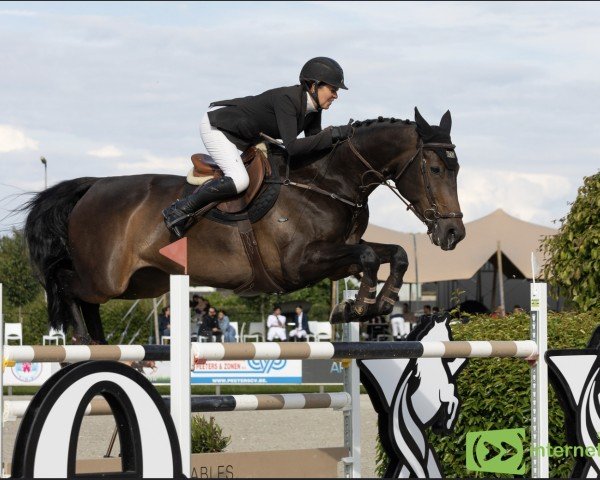 jumper Kayenne Z (Zangersheide riding horse, 2015, from Kannan)