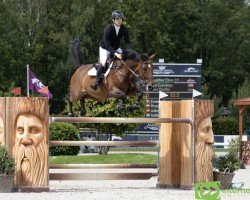 jumper Quilana Denfer (Luxembourg horse, 2013, from Quidam de Revel)