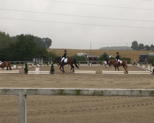 Reitturnier Menden 2013