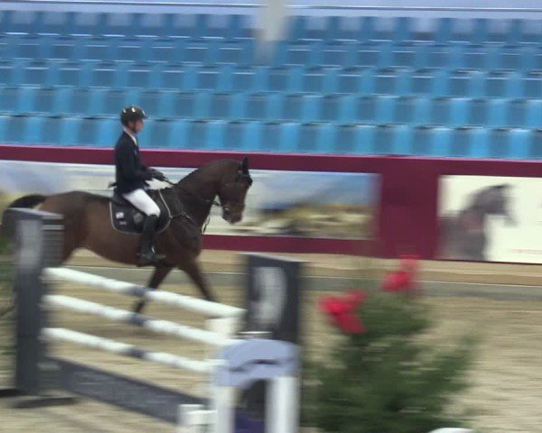 Reitturnier Neustadt/Dosse - Graf von Lindenau-Halle 2024