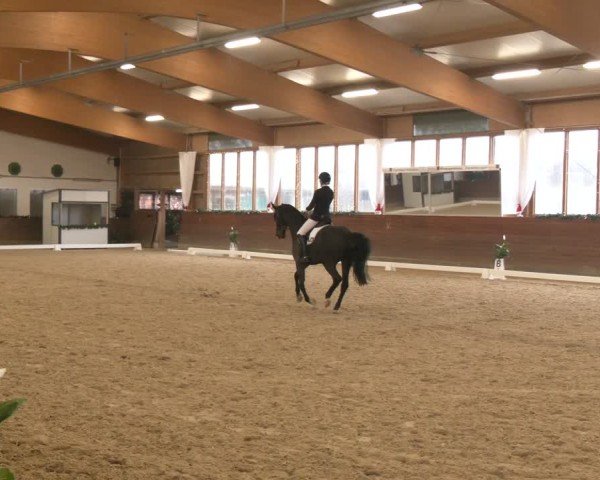 Reitturnier Coesfeld/Lette 2024