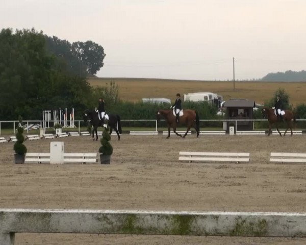 Reitturnier Menden 2013