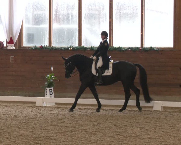 Reitturnier Coesfeld/Lette 2024