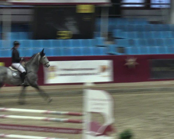 Reitturnier Neustadt/Dosse - Graf von Lindenau-Halle 2024