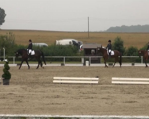 Reitturnier Menden 2013