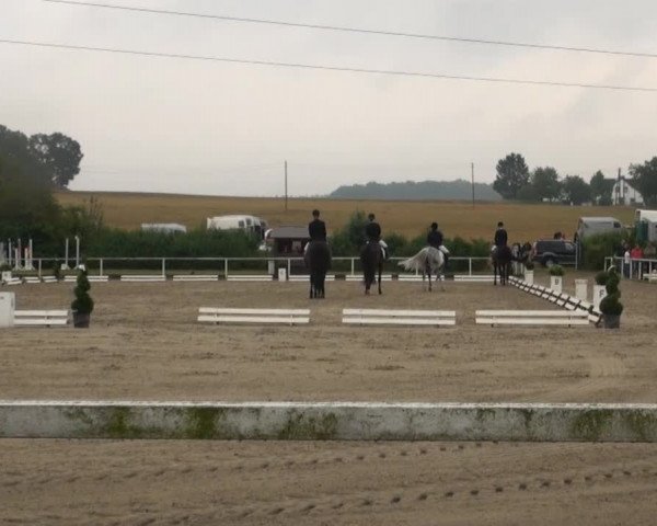 Reitturnier Menden 2013