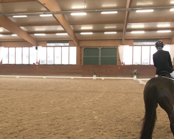 Reitturnier Coesfeld/Lette 2024