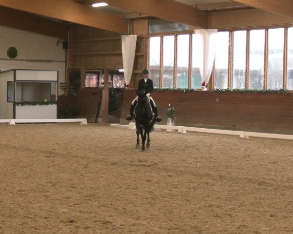 Reitturnier Coesfeld/Lette 2024