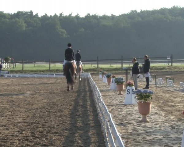 Reitturnier Nienburg 2013