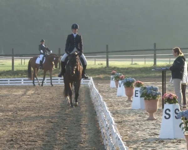 Reitsporttage an der Führser Mühle 2013