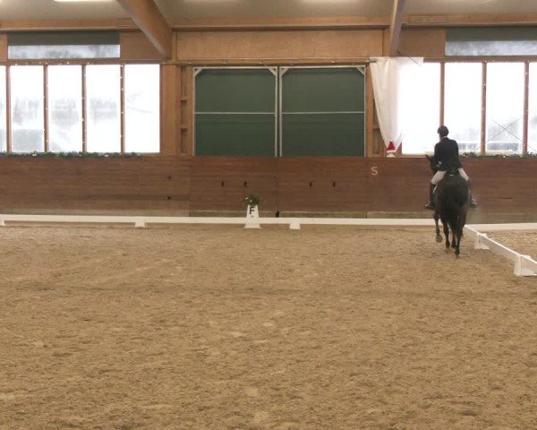 Reitturnier Coesfeld/Lette 2024