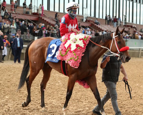 broodmare Letruska xx (Thoroughbred, 2016, from Malibu Moon xx)