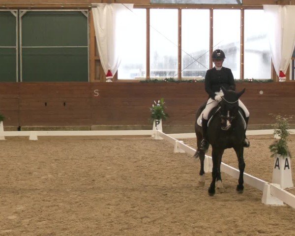 Reitturnier Coesfeld/Lette 2024