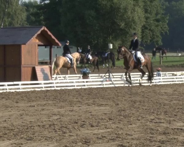 Reitsporttage an der Führser Mühle 2013