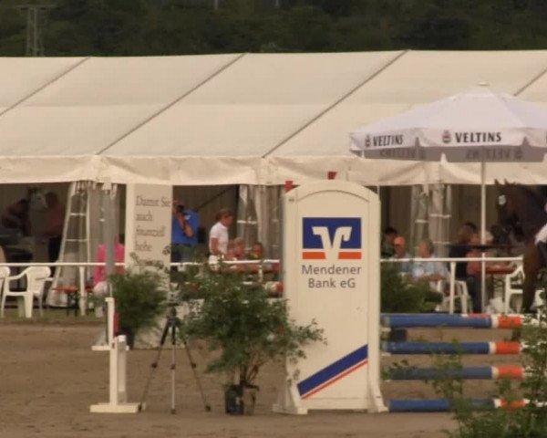 Reitturnier Menden 2013