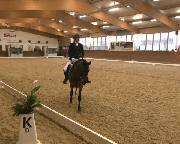 Reitturnier Coesfeld/Lette 2024