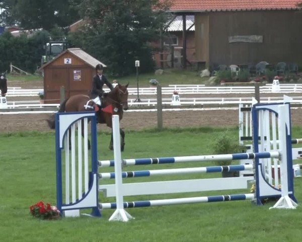 Reitsporttage an der Führser Mühle 2013