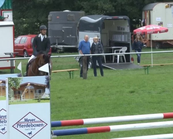 Reitsporttage an der Führser Mühle 2013