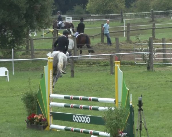 Reitsporttage an der Führser Mühle 2013