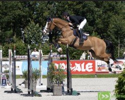 jumper Don Viepar (KWPN (Royal Dutch Sporthorse), 2008, from Van Schijndel's Rascin)