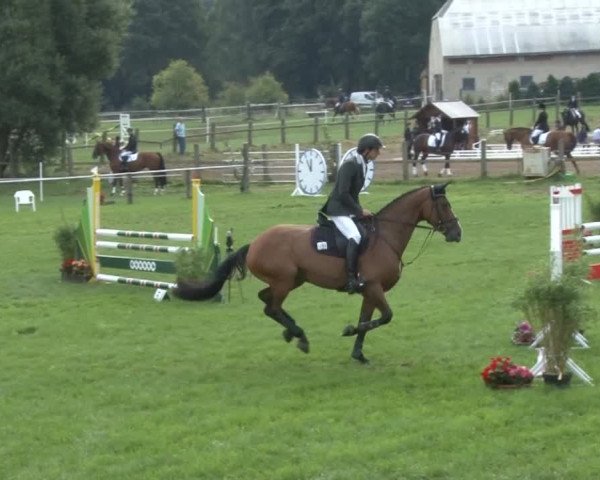 Reitsporttage an der Führser Mühle 2013