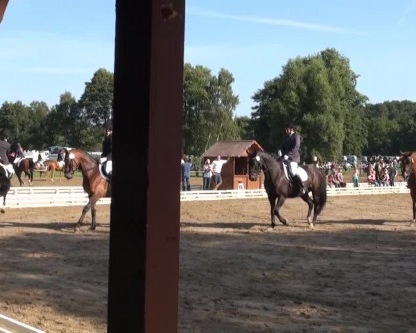 Reitsporttage an der Führser Mühle 2013