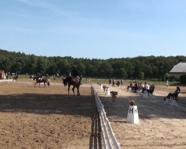 Reitsporttage an der Führser Mühle 2013