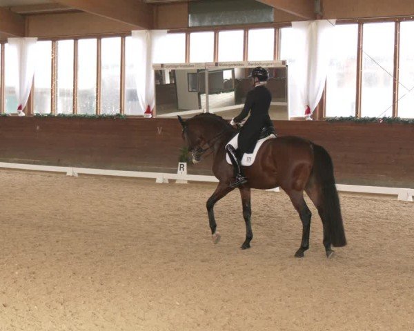 Reitturnier Coesfeld/Lette 2024