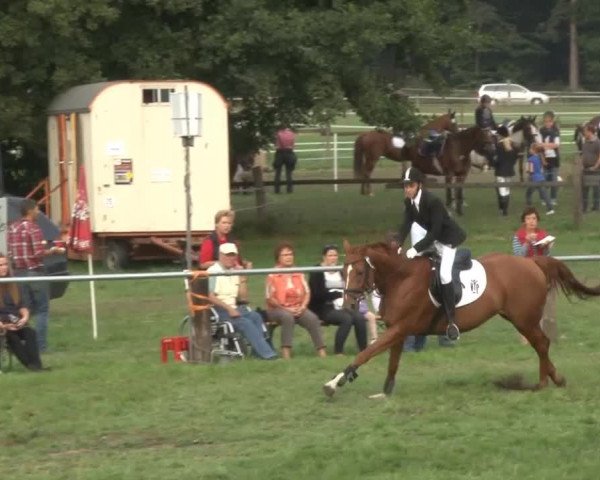 Reitsporttage an der Führser Mühle 2013