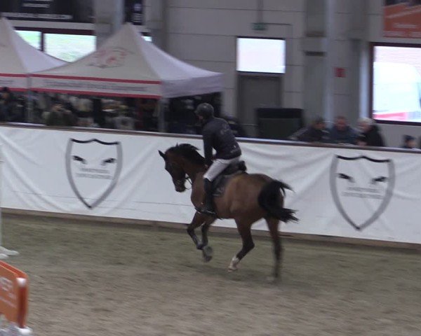 Reitturnier Prussendorf 2024