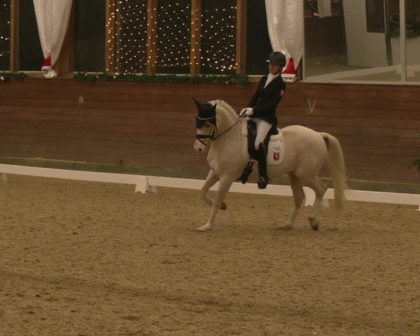 Reitturnier Coesfeld/Lette 2024