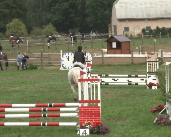 Reitsporttage an der Führser Mühle 2013