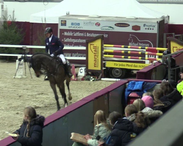 Reitturnier Neustadt/Dosse - Graf von Lindenau-Halle 2024