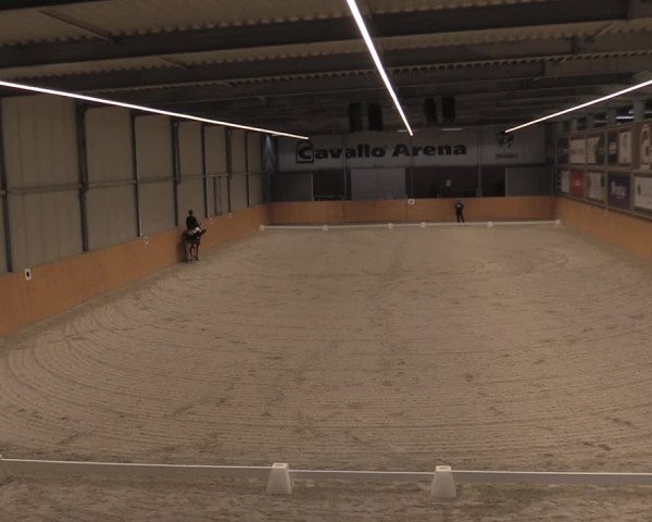 Reitturnier Güstrow/Cavallo Arena 2021