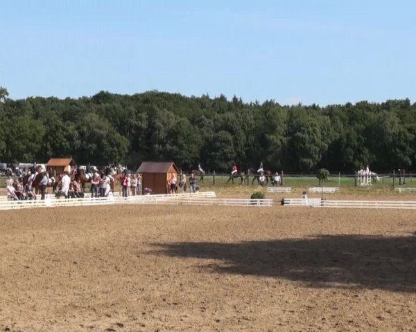 Reitsporttage an der Führser Mühle 2013