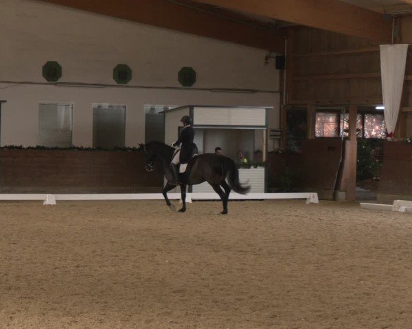 Reitturnier Coesfeld/Lette 2024