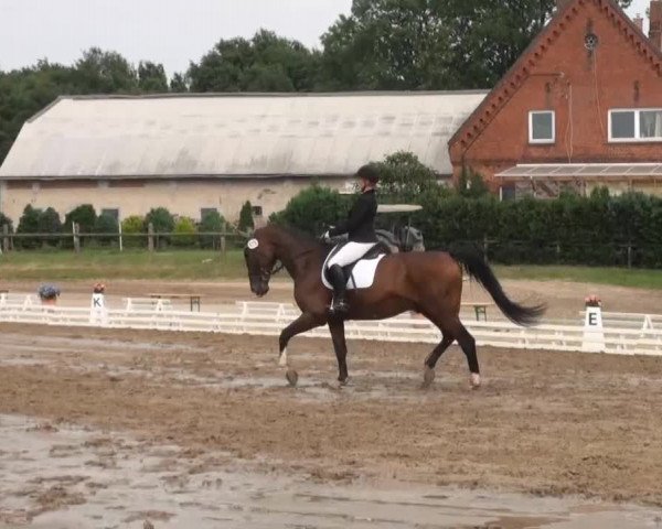 Reitsporttage an der Führser Mühle 2013
