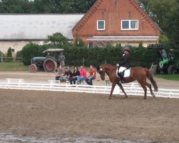 Reitsporttage an der Führser Mühle 2013