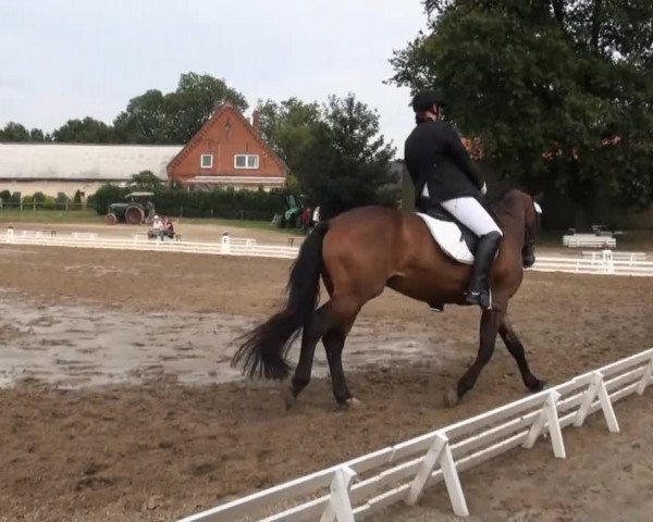 Reitsporttage an der Führser Mühle 2013