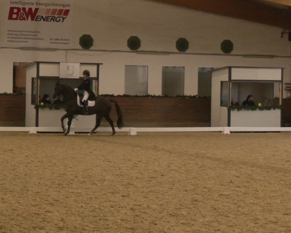 Reitturnier Coesfeld/Lette 2024